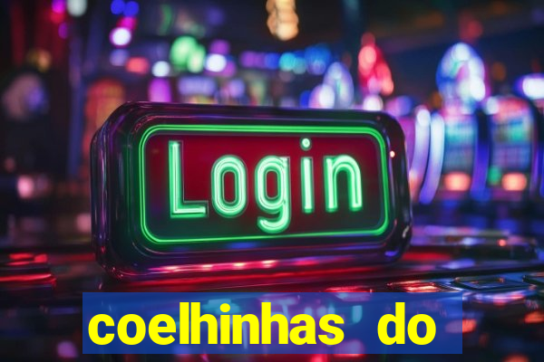 coelhinhas do brasil recife